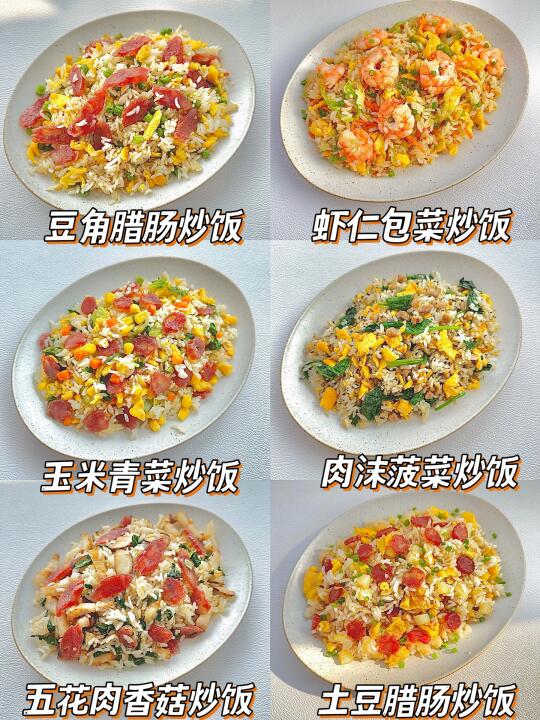 六款巨好吃的炒饭合集❗️快手简单 | 秒光盘