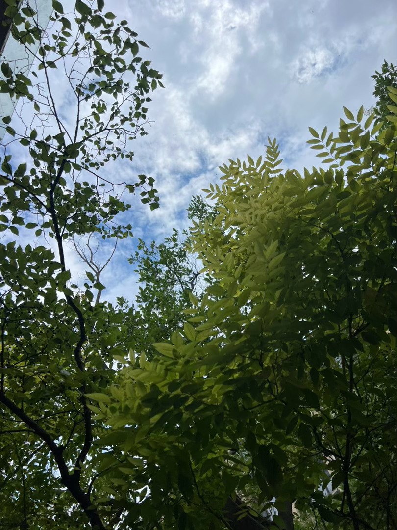 高考在即，连风和云里都藏着高考的讯息。连日来，刷到不少关于考生、老师与考生家长的
