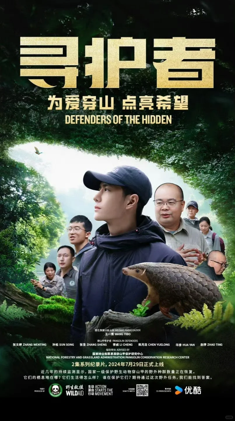 《寻护者》对我的影响
