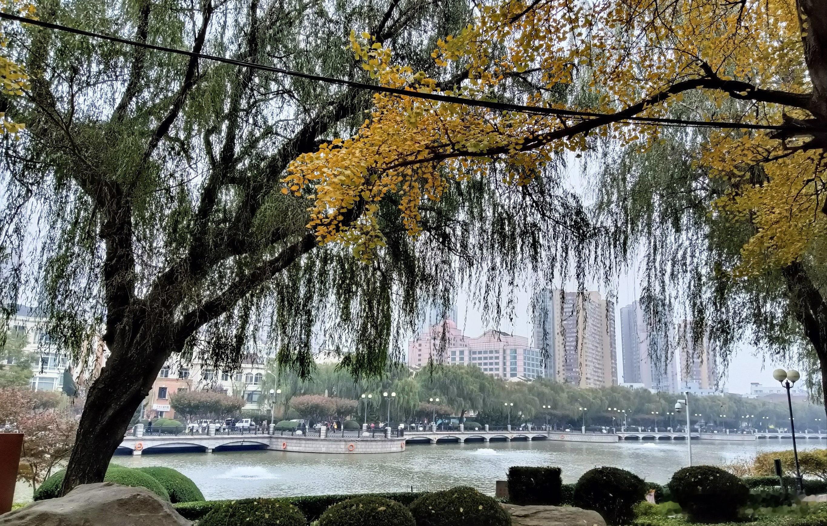 心里话         明白了自己想要什么，就不会被外界所左右。       [