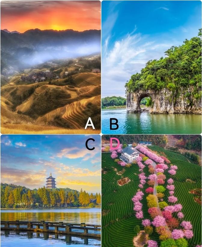 “一张图，预测老年幸福，是迷信还是真有其事？我选的D风景，是不是暗示了未来的我，