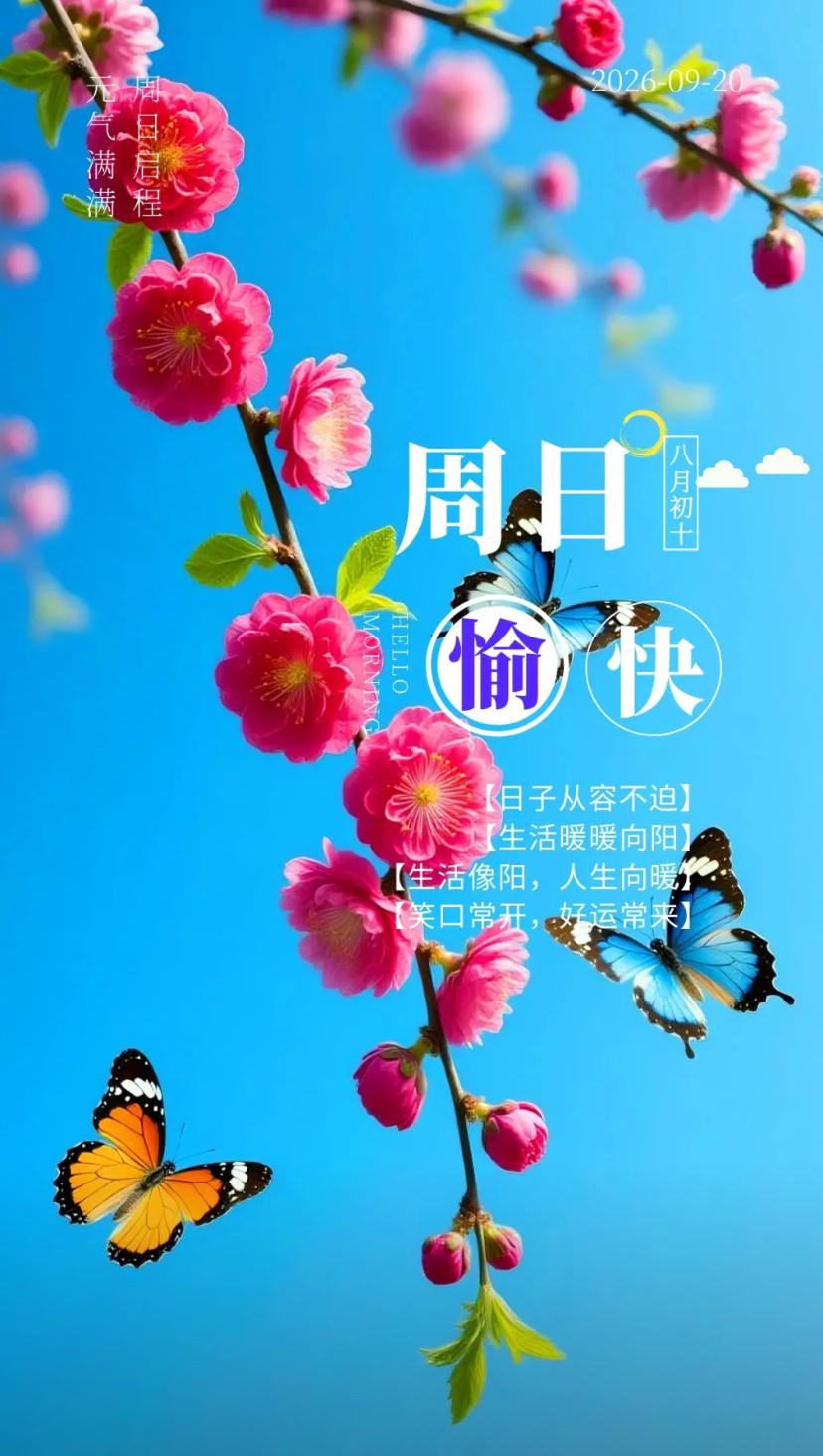 秋晨寄语，平和岁月即丰盈，过往沉淀助前行。
2026./09.20.
[微风][