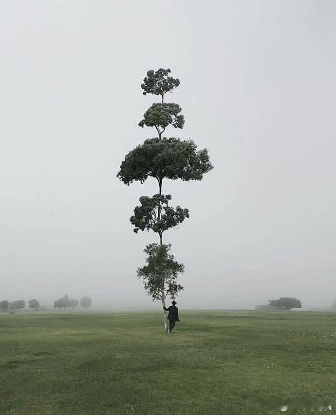 你拥抱着我，我便拥抱了一切沙土，时间，雨中林木万物鲜活，我亦鲜活我无需走远就能看