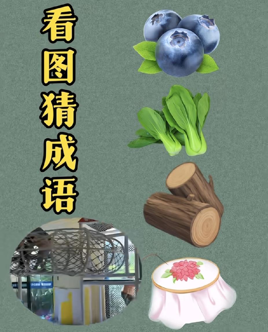  看图猜成语：蓝莓青菜木头笼桌，你猜对了吗？