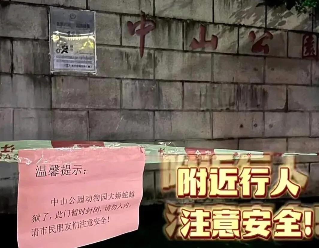 提醒！福建龙岩中山公园一蟒蛇越狱！龙岩中山公园贴出告示一只重达10斤的蟒蛇成功越