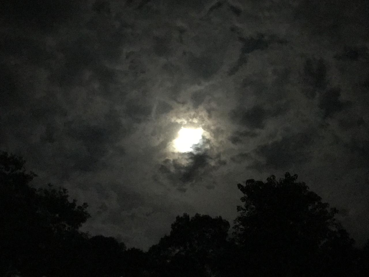 今儿我健身打卡啦。突然想起豆瓣有个叫猪蛋的，2011年就开始健身，还请了私教。那