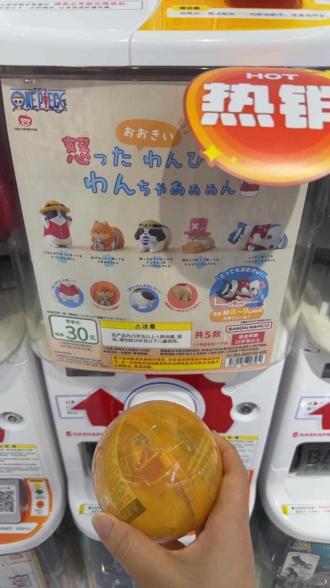 嘻嘻就这样赌路飞成功✓ ​​​