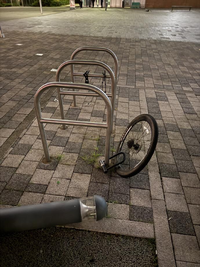 有一种契约精神中国永远学不会！在欧洲，即使是最卑劣的小偷，也不会轻易拿走他拿不走