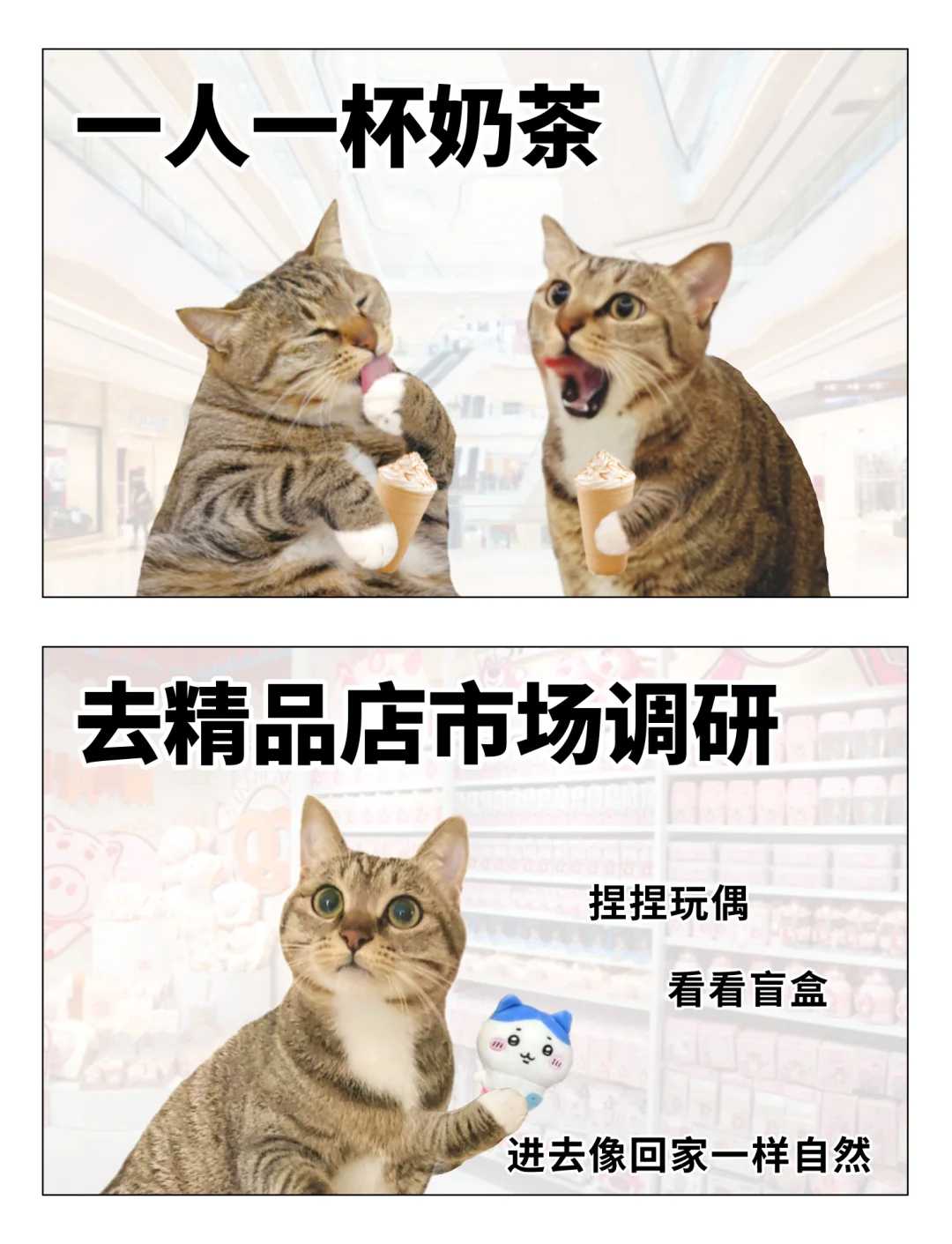 当代年轻人逛商场流程表情包