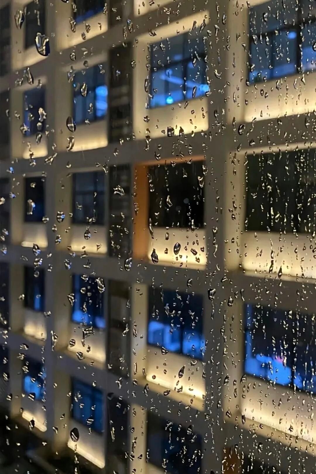台风“白海豚”过境后的早高峰，精准戳破了我们对城市通勤效率的刻板想象。当3号线、