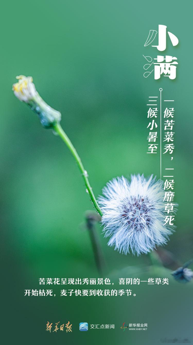 【小满养生要领（一）】📖#今日小满# 小满的含义是夏熟作物的籽粒开始灌浆饱满，