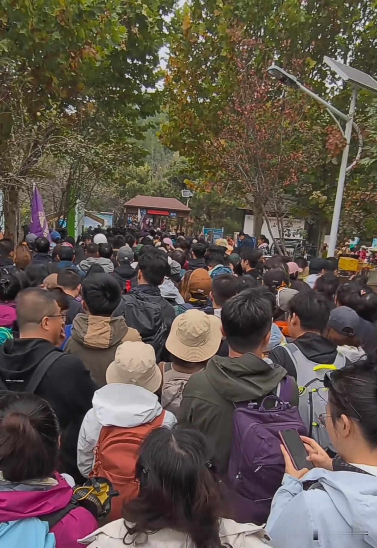 在北京周末想看一次红叶有多难。最早都是去香山，那山爬的一点都不累，人多的就是走一