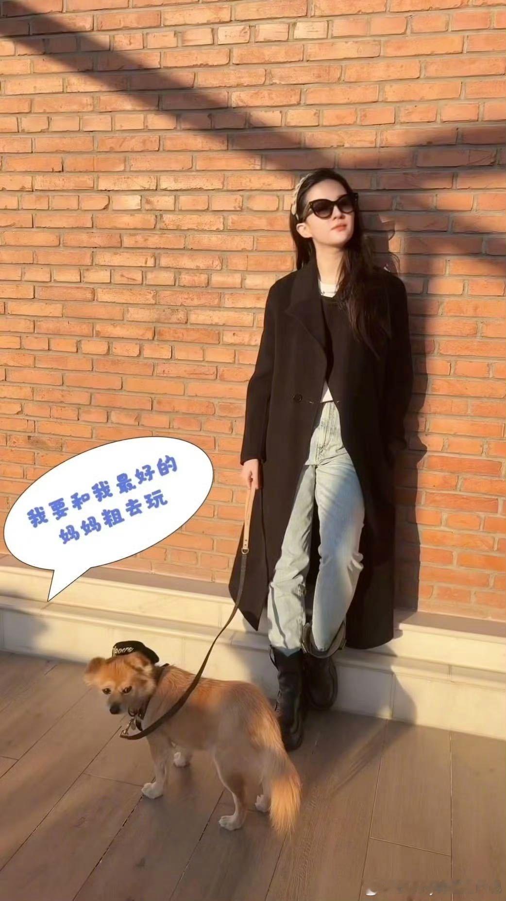 刘亦菲晒狗狗live照 刘亦菲晒狗狗live照，每只都好可爱[抱一抱]。 