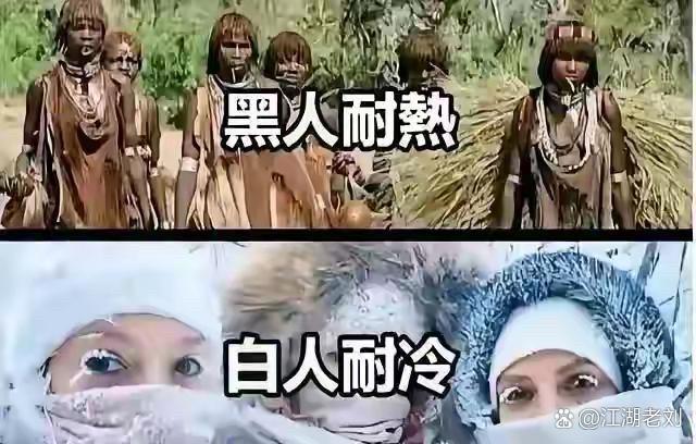 黄种人耐什么？