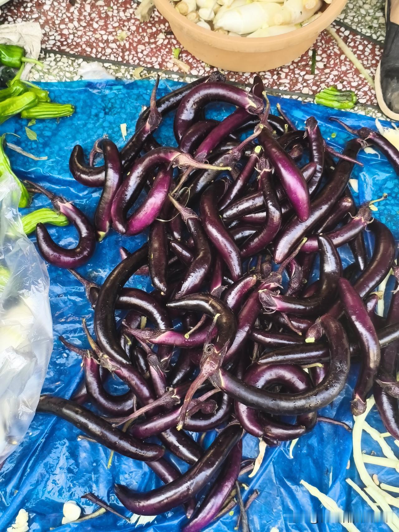 湖北应城，这段时间市场上的菜还挺贵的，就这个茄子今天问了一下竟然卖到6块钱一斤，