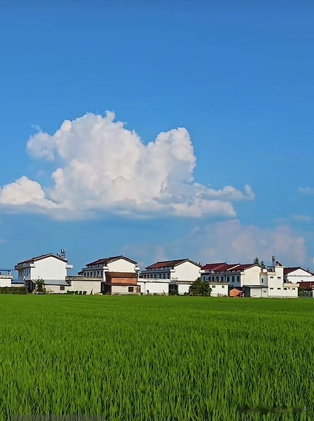 陕西乡村风光最美的地方汉中盆地

乘西成高铁从西安北站出发

穿过秦岭连绵不绝的