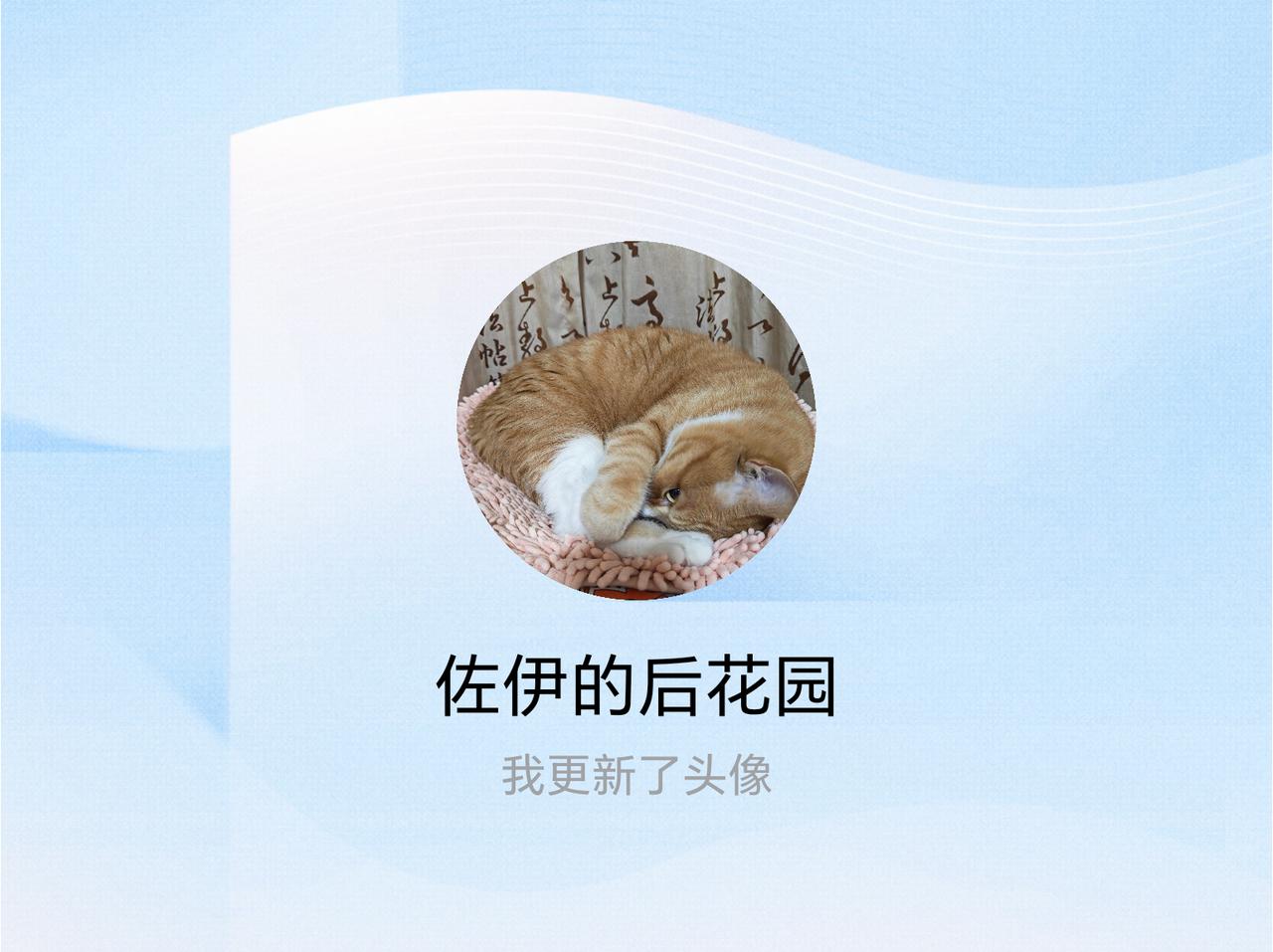 快来看看我新换的头像吧