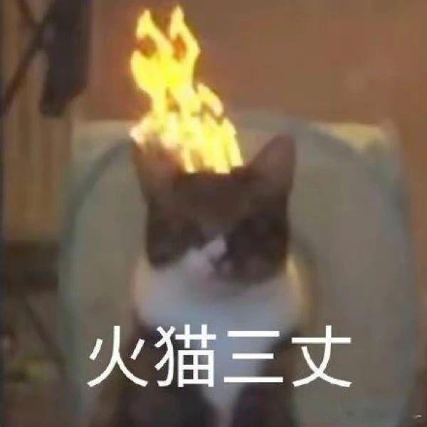 特码的 给劳资虐到了 