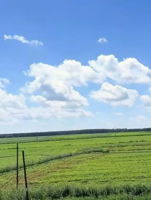 今天家里的温度是22~29度。与朋友去一农家乐用晚餐。路上的风景已让我们的眼睛吃