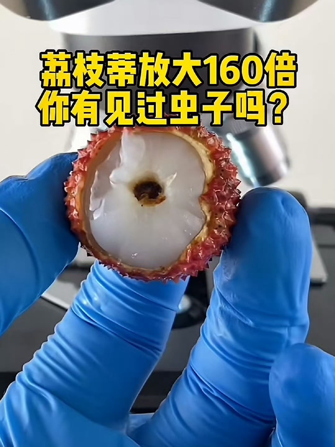 荔枝蒂 虫子 我现在才知道白色是正常的，黑色的是有虫卵…没事之前吃的我就当不知道