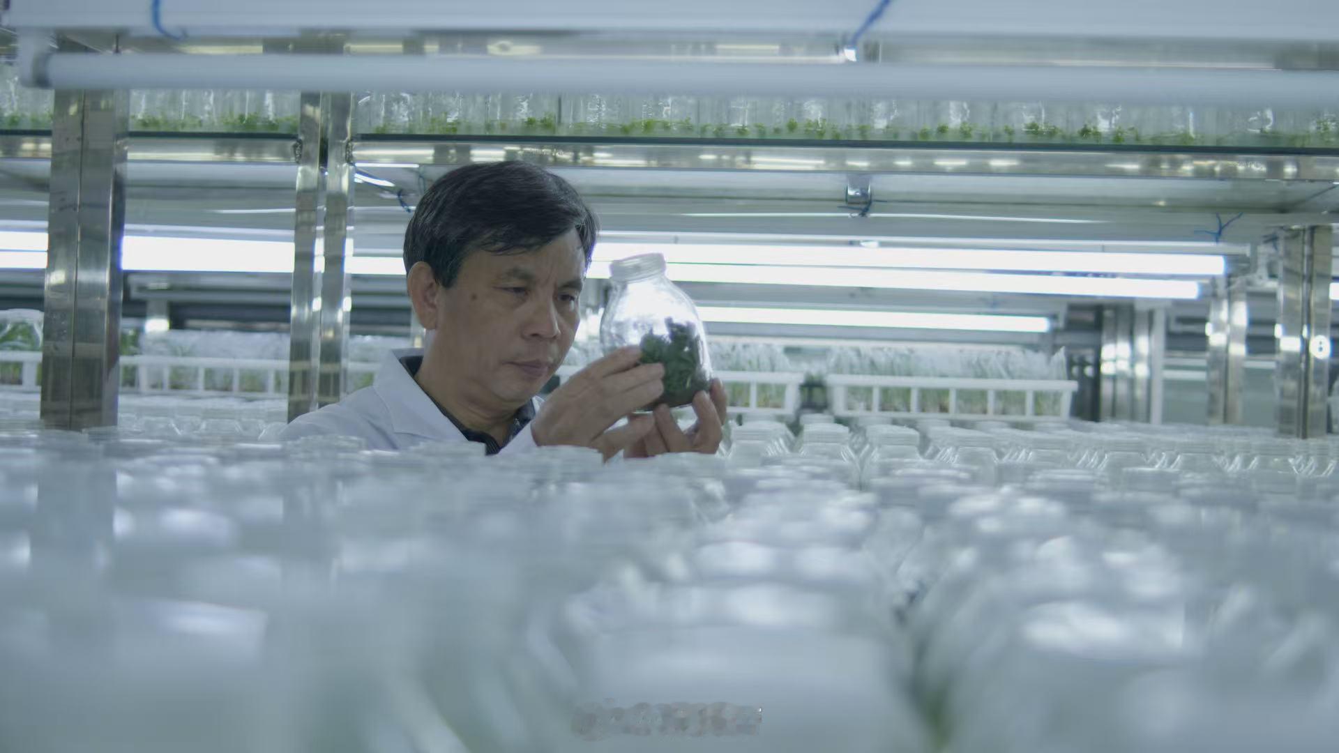 BBC镜头里的野性广东 三集50分钟沉浸式探秘！山地藏珍、海洋蕴奇、城市藏野，B