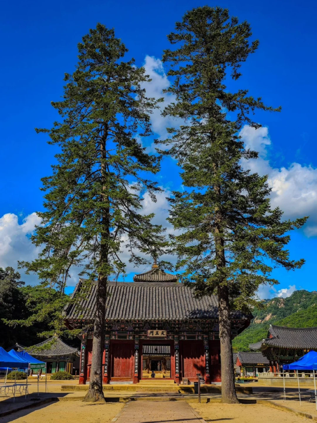 🇰🇷这居然是韩国