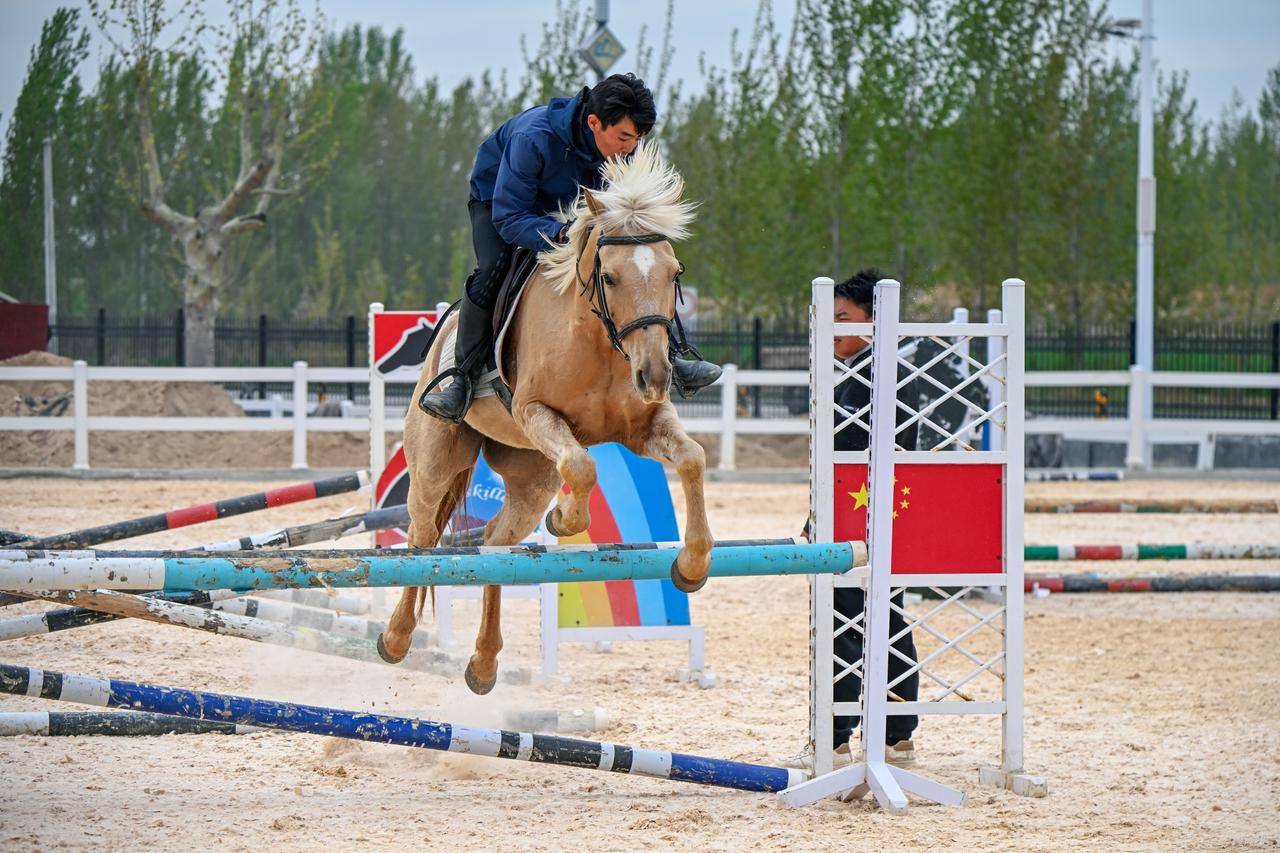 发现宝藏山东城市里待久了，总想去有风的地方。
这次我去了汶河马术营地。

选一匹
