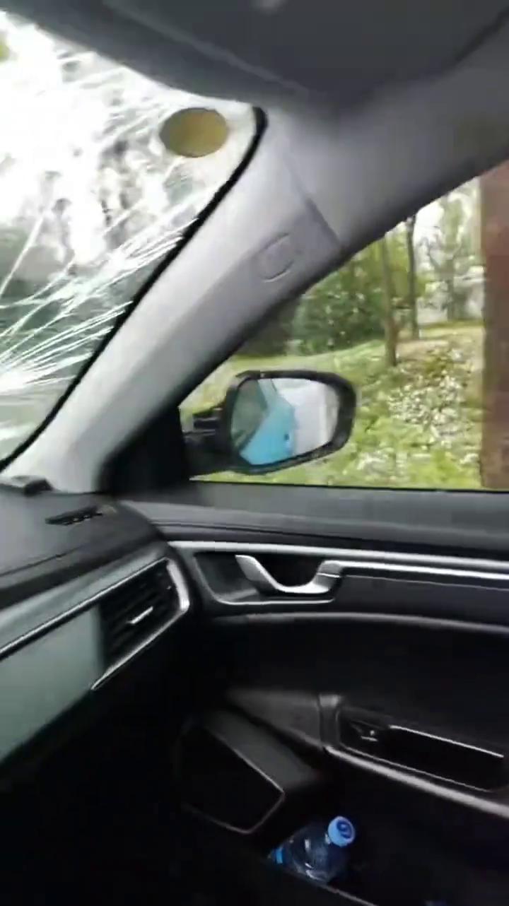 拍完了，看看，给鹅还打死了，打死俩鹅，透它娘了。下大蛋子，风到玻璃打烂了，让蛋子