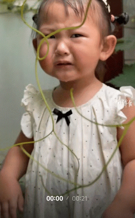 笑不活了，河南周口，一小女孩趁紧家长不注意时，偷偷吃奶奶院子里还没成熟的葡萄，虽