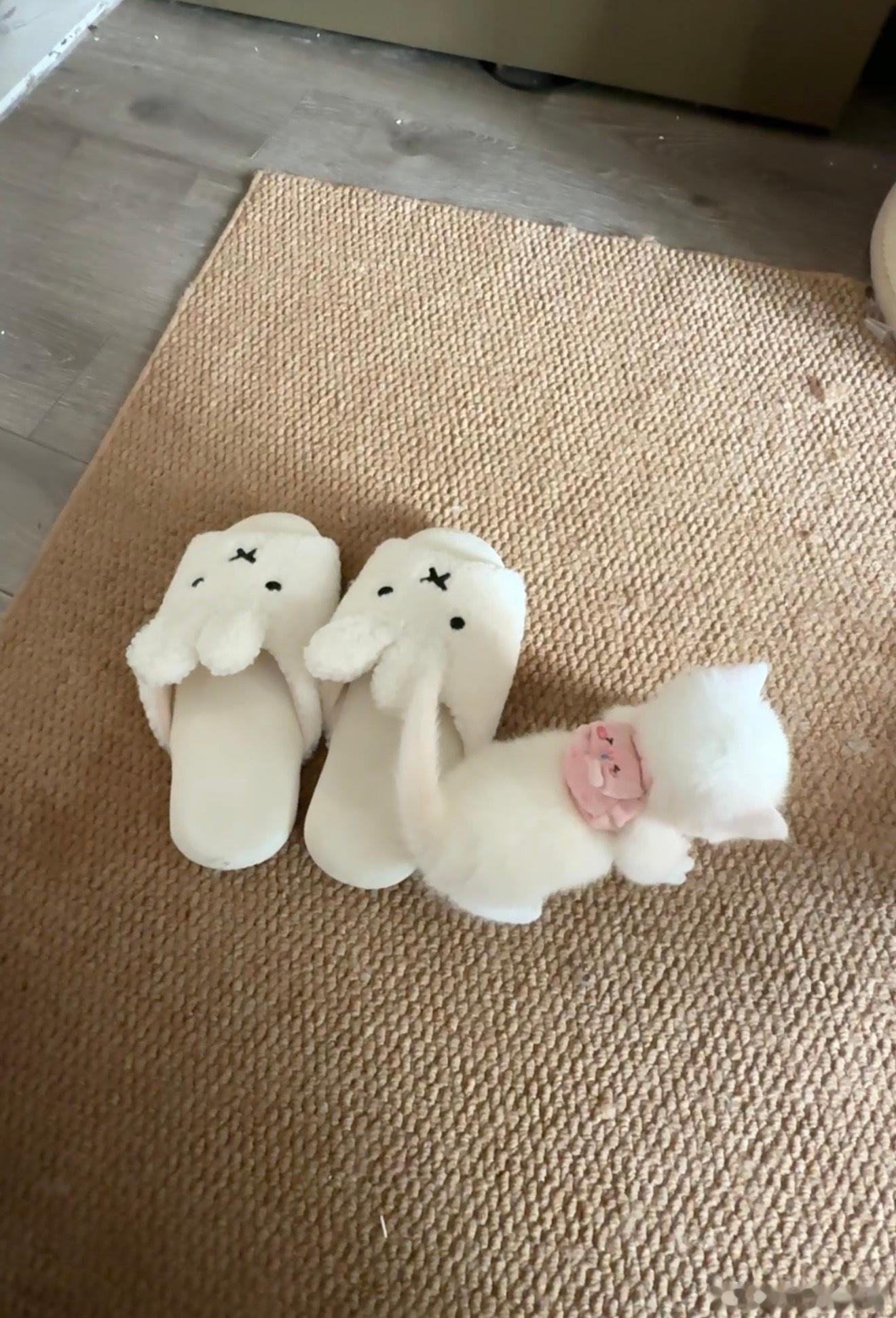 还有什么比拥有一身健康的身体更幸运的 