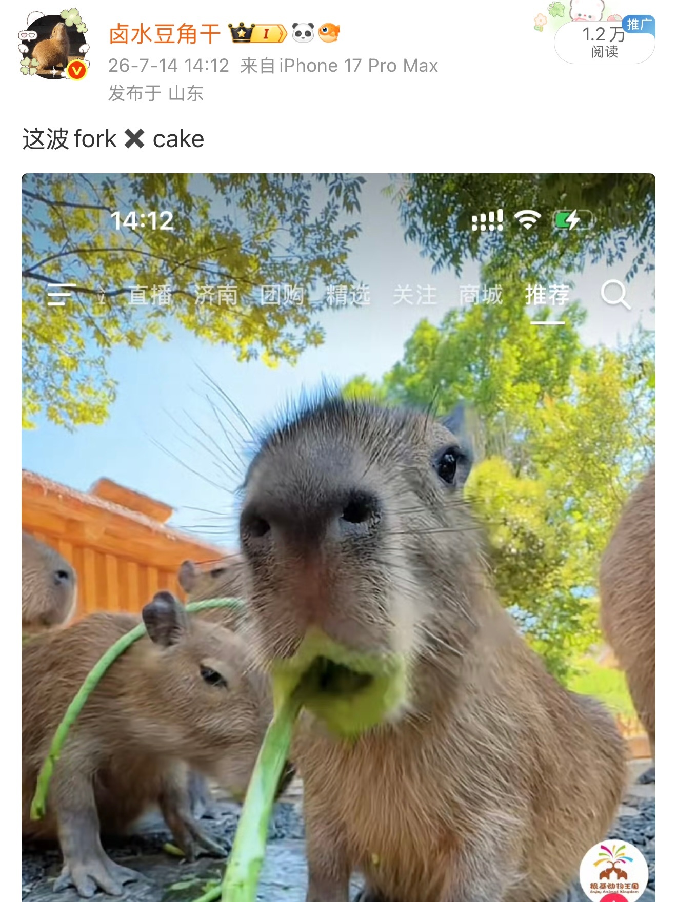 持续押题（fork也算出现一下吧 