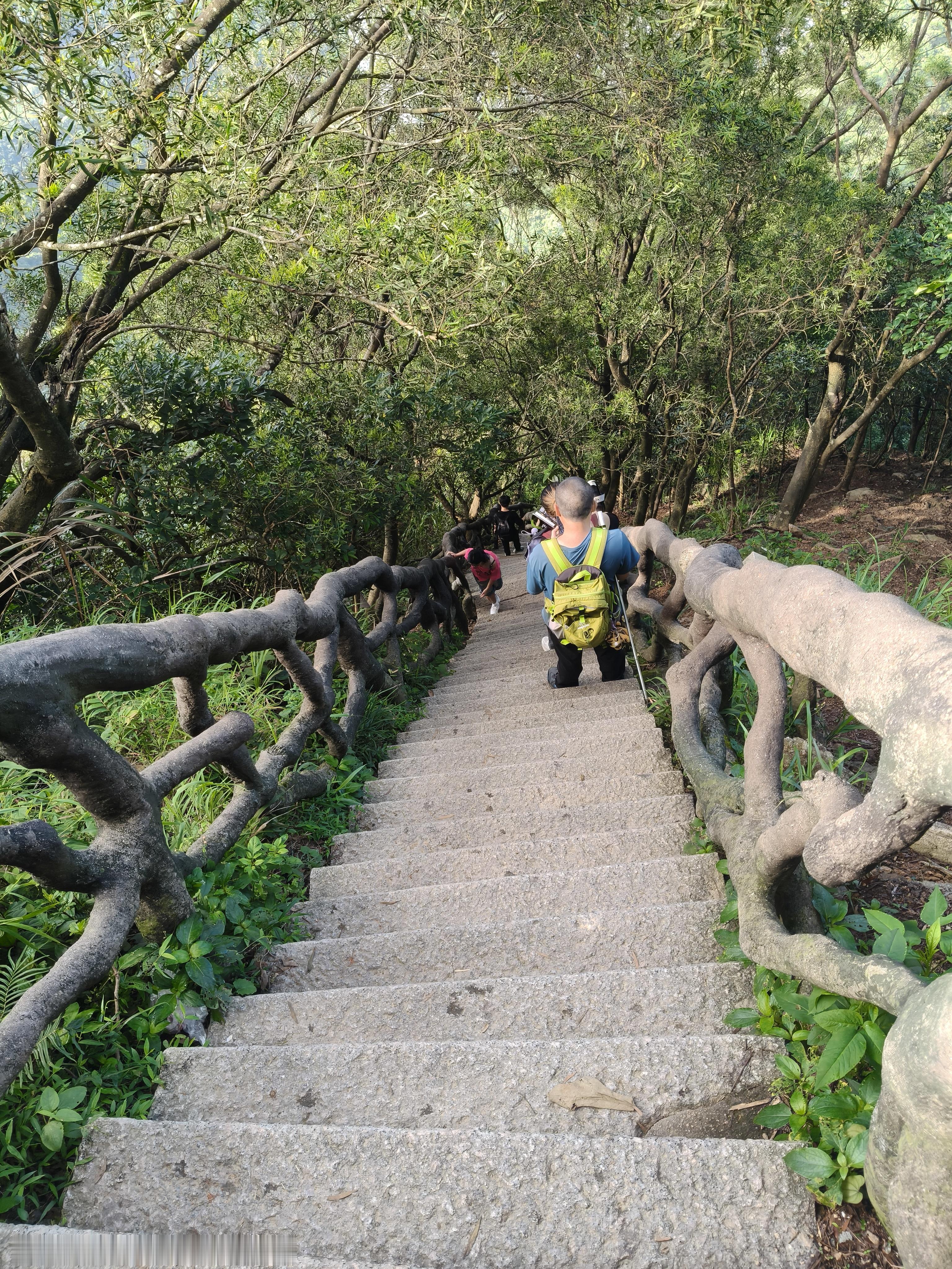 挑了个最快的路下山，没想到这么陡…… 深圳·梧桐山