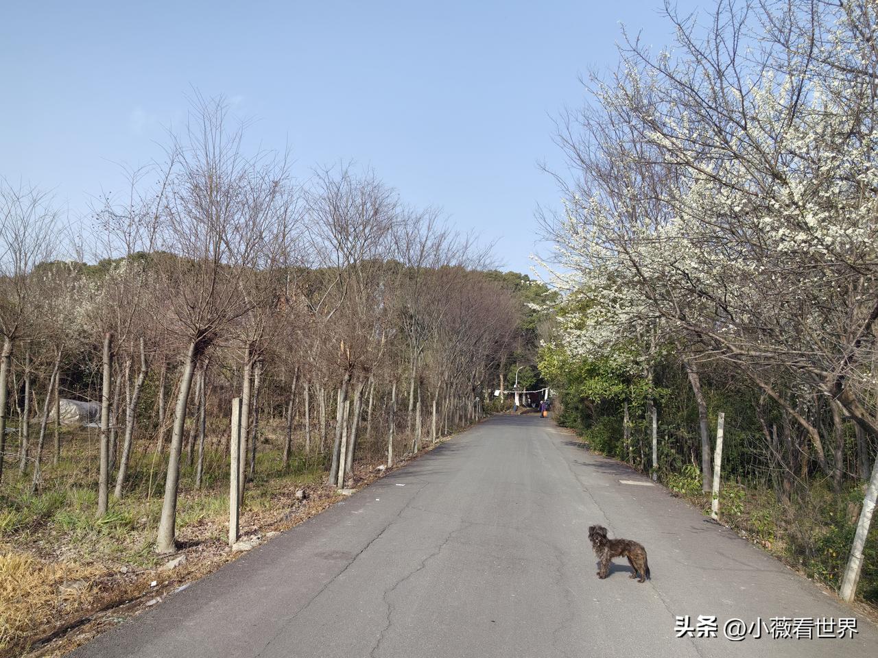 他是我小娃娃时就认的干爹，因为他和我老爸是上下铺的工友，后来老爸回老家当农民，他