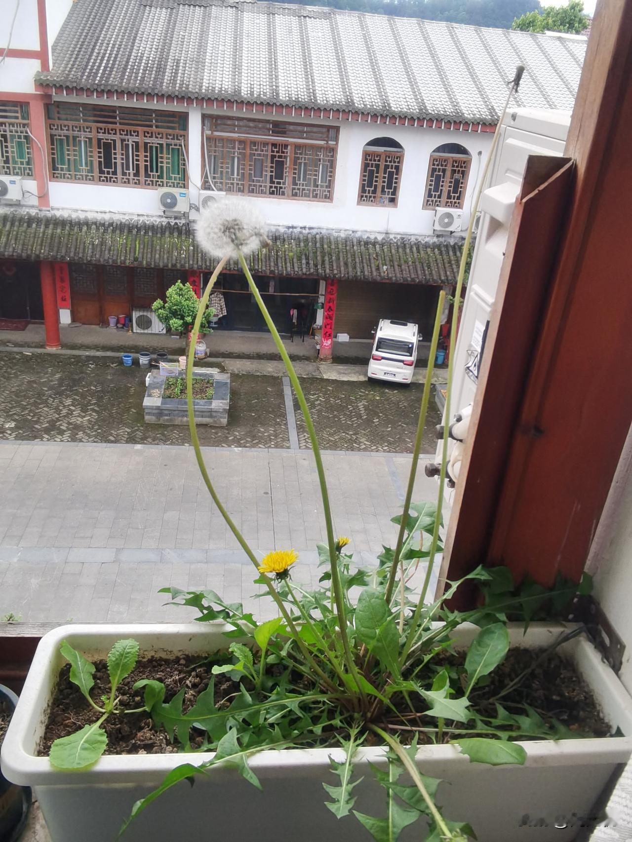 一提到大智若愚的人，你会想到谁？
古代的鲁智深，张飞，还是赵子龙？
近代的华罗庚