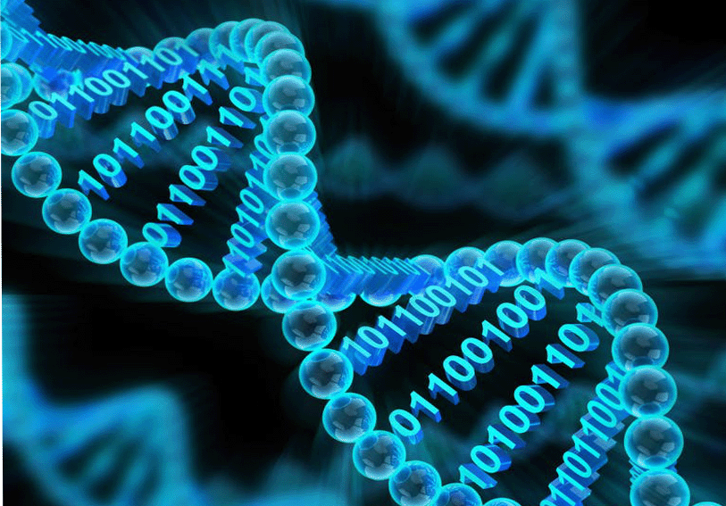 北大计算机科学学院的科学家开发出DNA数据存储技术。DNA是组成基因的物质，可以