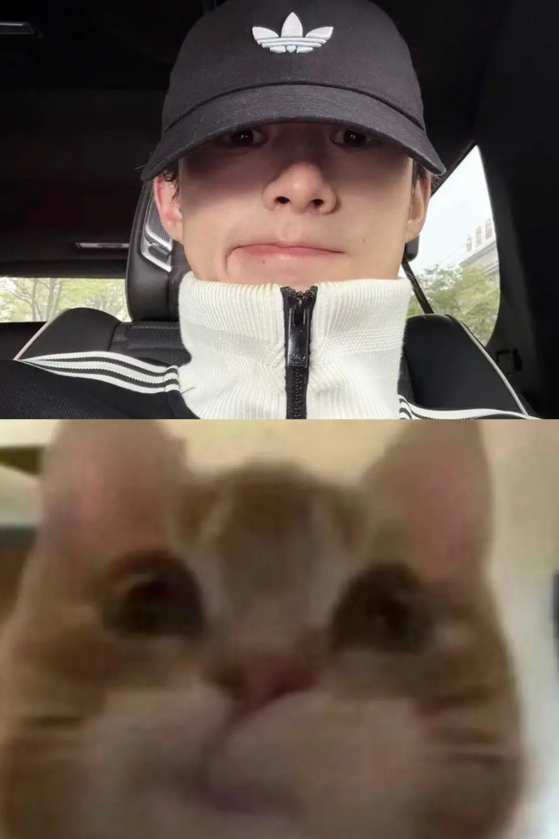 这和小猫有什么区别 好可爱