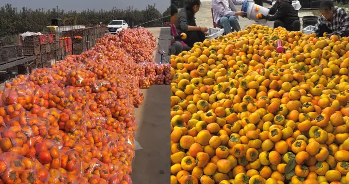 陕西小伙卖爆家乡特产，年销2000万元，拿下TOP1