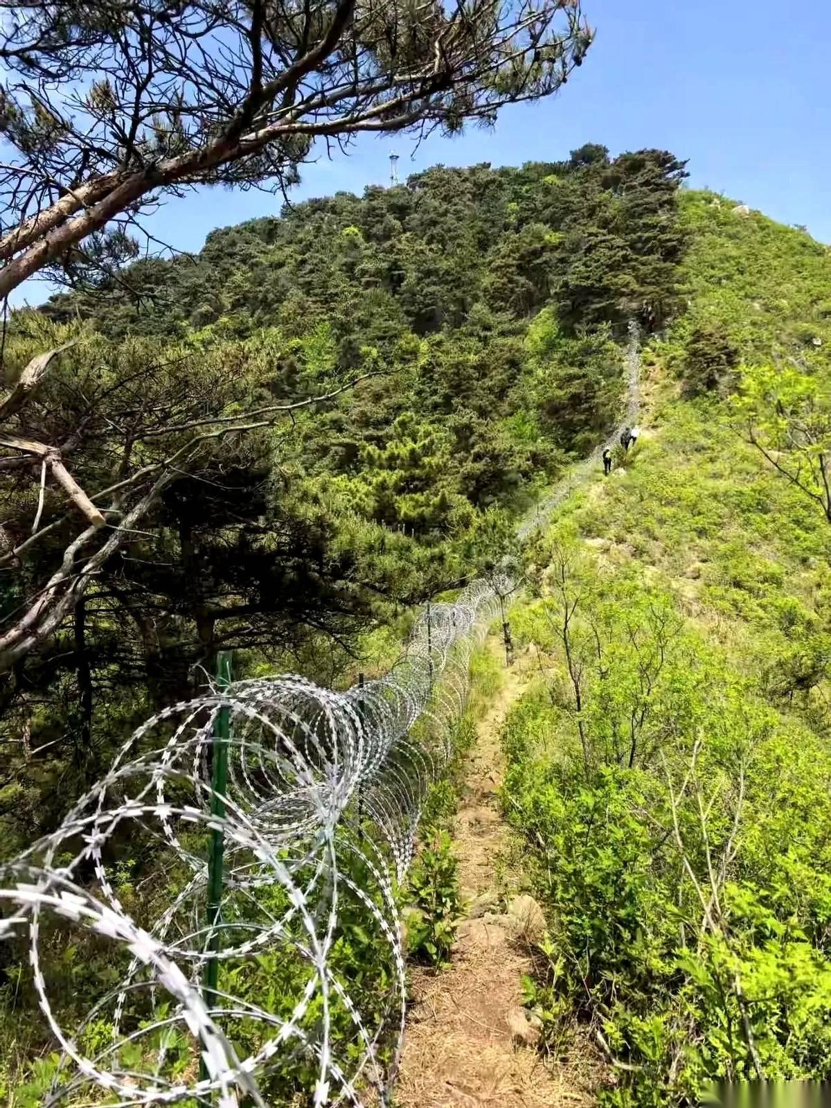 一百多公里的刀片子，就这么一圈一圈，活活把泰山给捆上了。
我第一次在网上刷到那图