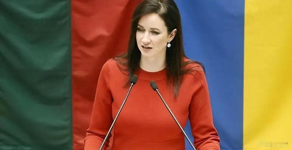 快讯！立陶宛新总理鲁吉涅内突然宣布了。她在维尔纽斯上任后表态：将争取把对华关系恢