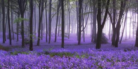 Loneliness is not the deepest darkness, 