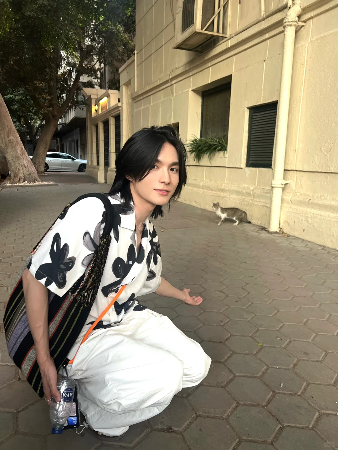猫咪和金字塔，当然选猫咪啊！