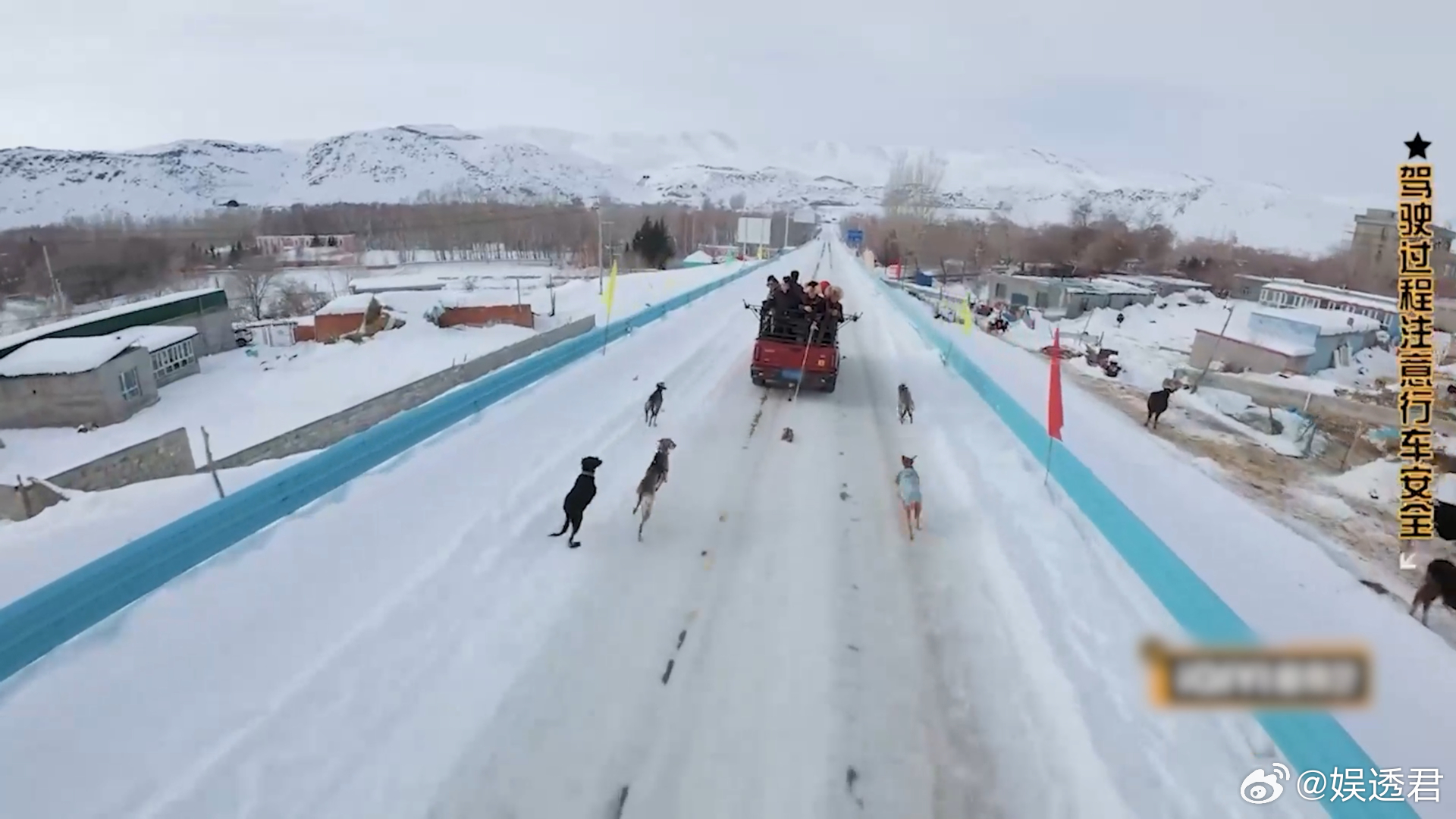 五哈雪地敞篷梦回第三季五哈团跟狗赛跑包疯的 雪地敞篷梦回第三季，五哈团和狗赛跑笑