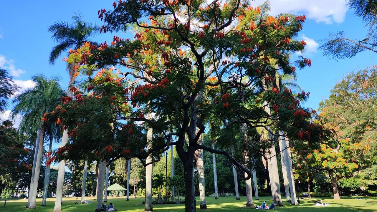 菲律宾弹劾风云：18票定局下的权力暗战。
你们能想象吗？在政治的舞台上，仅仅 1