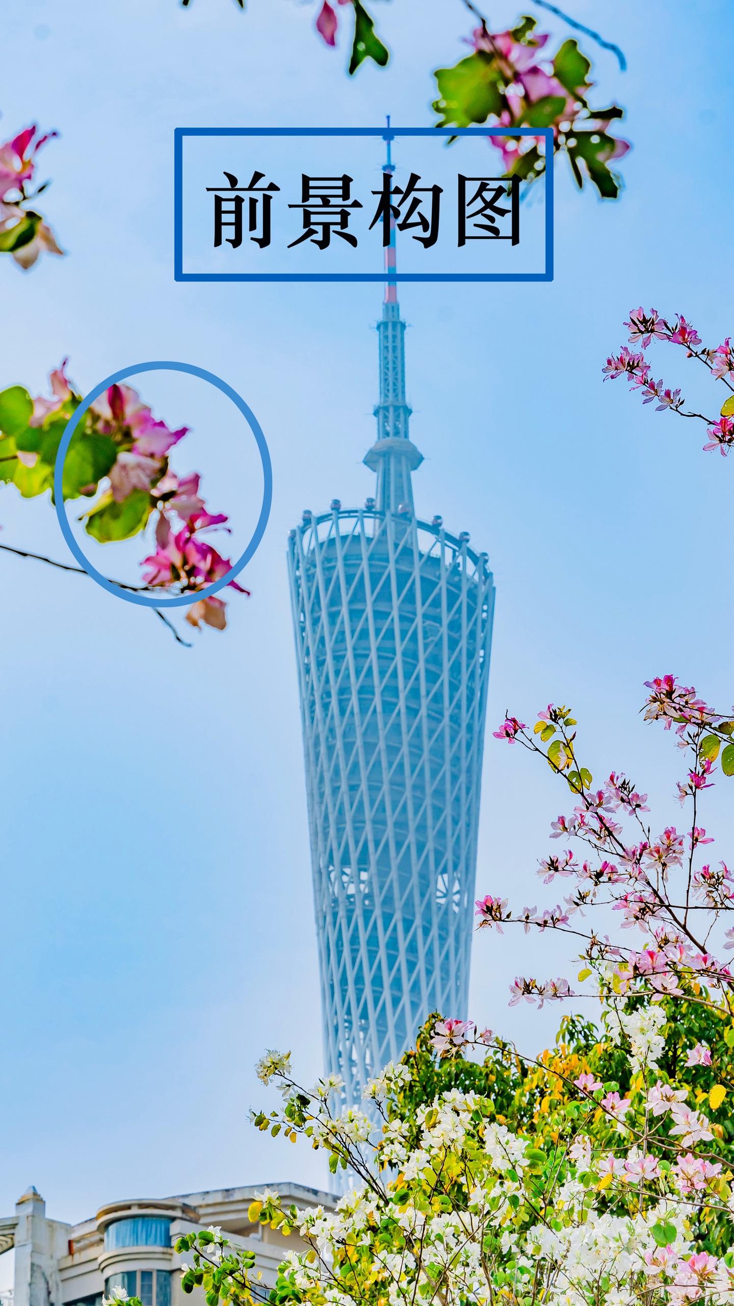 摄影可以尝试不同的构图，可以有不一样的视觉效果。常用的构图方法包括： ...