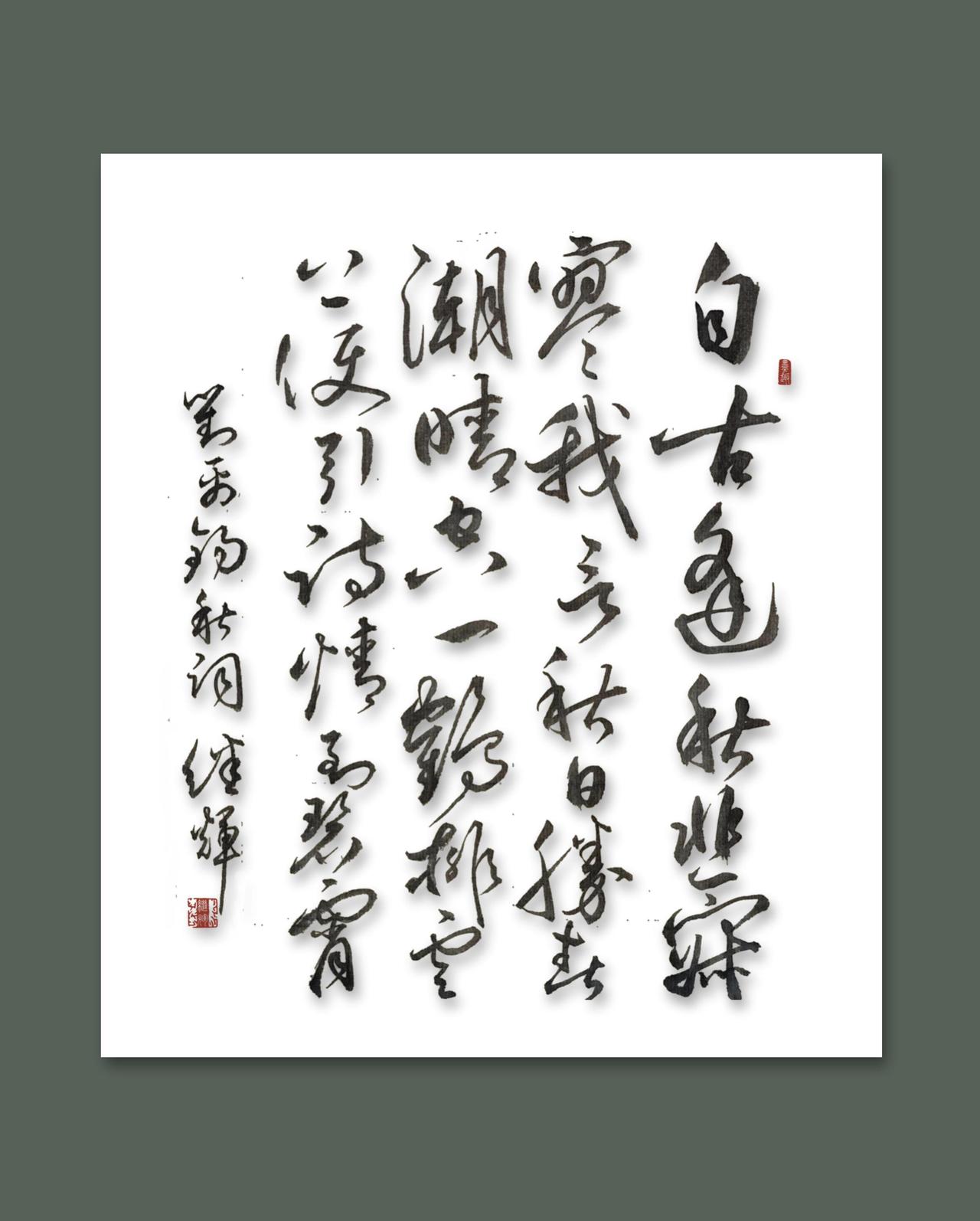 作者加速成长计划分享草书创作刘禹锡诗《秋词其一》，自古逢秋悲寂寥，我言秋日胜春朝