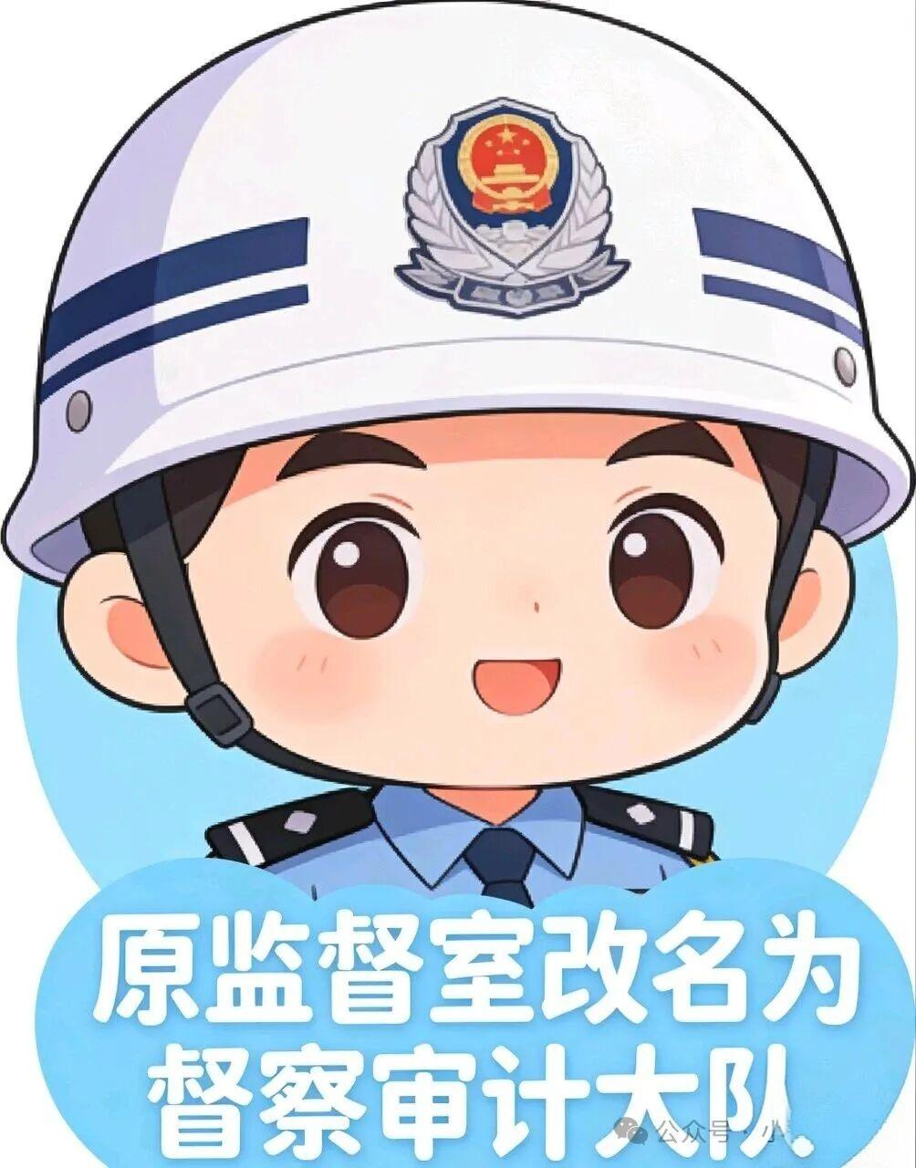 是真的吗？我国公安系统6个机关面临机构改革合并更名？看图↓↓↓致敬公安英雄 公安