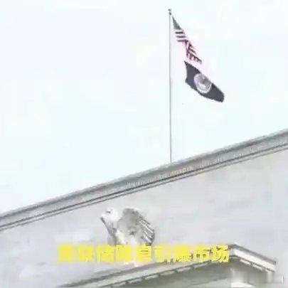 《美联储降息救市！1月21日，今日爆出的五大消息已全面来袭》播放量：1009作者