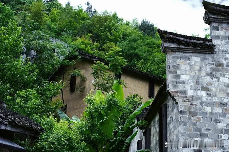 刚刚我阅读了一篇友友的文章，我平时有一点，就是特别喜欢读完别人的文章之后，看后面