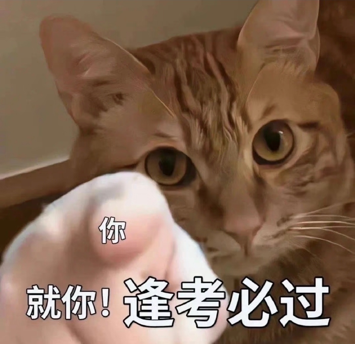 国考加油，希望参考的顺利上岸