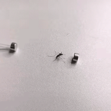 不讲武德[捂脸]